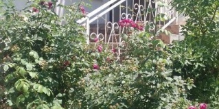 Актау: Хостел Id Hostel Aktau