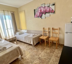 Семейный номер Classic с балконом и с красивым видом из окна в Green line