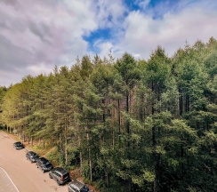 Квартира в Privi House