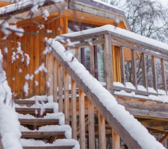 Большой дом на дереве в Экоранчо