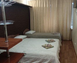 Люкс 3х в Space aparts and rooms