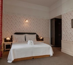 Двухместный семейный номер Standard двуспальная кровать в Hotel Praga 1885