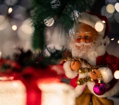 Дом в Дубльдом у леса