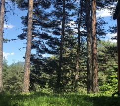 Шале 5. Четырёхместный номер комфорт с видом на горы в Белый волк