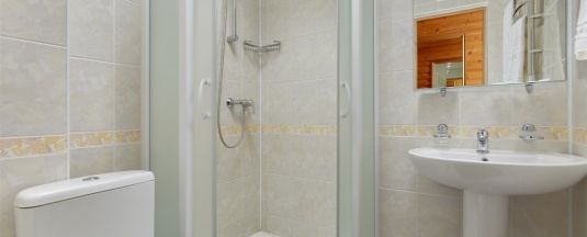 Стандарт однокомнатный двухместный с двуспальной кроватью Кедровый корпус в Тетьково