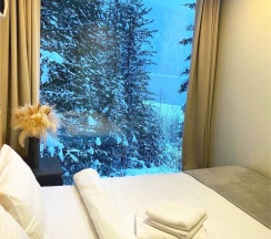 Стандарт в Телецкое Золотое