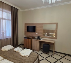 Премиум Люкс с кроватями TWIN/DBL в Цитрус