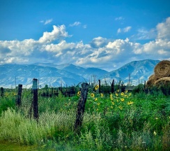Гостевые дома в Уймон-Парк