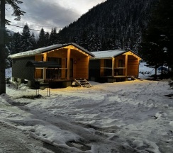Четырёхместный коттедж с 2 комнатами с красивым видом из окна в Forest house resort