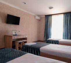 3-местный 2-комнатный номер полулюкс семейный в Ника