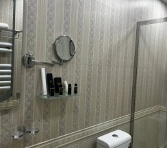 Полулюкс в Baku Hotel