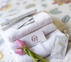 Junior Suite в Искра