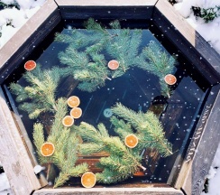 Дом-поезд Гномбург в Гномбург