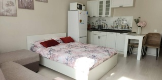 Домодедово: Апартаменты Runway Apartments на улица Курыжова 32