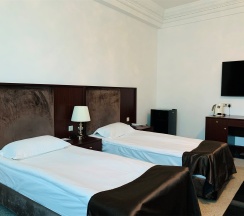 Стандарт Твин в Artis plaza hotel