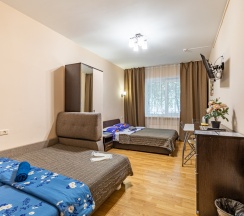 Семейный номер с двуспальной кроватью и диваном в Madison