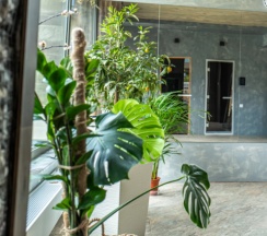 Квартира в Куб_в _Кубе