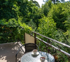 Люкс двухкомнатный в Благодать