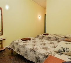 Стандартный 2х местный номер 1 этаж в Green oasis Vavilon