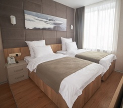 Номер-студио с двумя раздельными кроватями и видом на озеро в F911