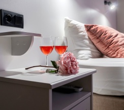 1-комнатные апартаменты студия Лиговский пр-т 48, лит З в Sv grand hotel