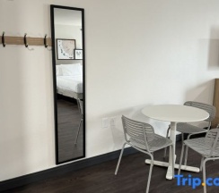 Двухместный номер Standard двуспальная кровать в Spark by Hilton Dallas Market Center