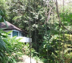 Двухместный номер Deluxe двуспальная кровать в On The Hill Karon Resort