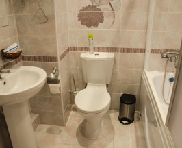 Полулюкс Семейный №17 (1 Bedroom Family Suite) в Виктория