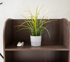 Семейный для троих в Придорожный