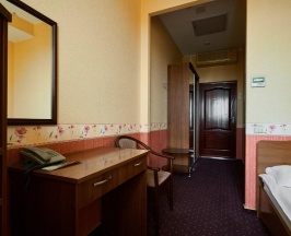 Номер стандарт с 1 двуспальной кроватью в Термы Плюс