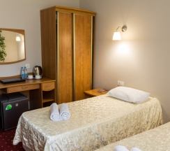 Двухместный стандарт в Аристоль