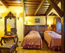 Двухместный номер Standard 2 отдельные кровати в Hotel U Prince Prague by BHG
