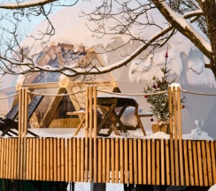 Глэмп №6 на дереве в Vyborg Bay