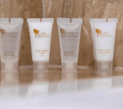 Люкс Luxury в Hotel Pusu Paunksneje