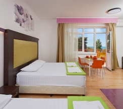 Стандарт 3-х местный с балконом в Диса