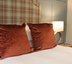 Номер Deluxe в The Horseshoe Inn