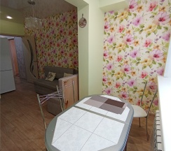 Однокомнатная квартира на Чубынина, 24 в Loft