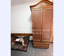 Стандарт в Снежинка