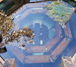 Дом в У реки