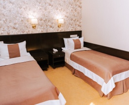 Двухместный номер  (Двухместный номер с 2 отдельными кроватями) в Ника