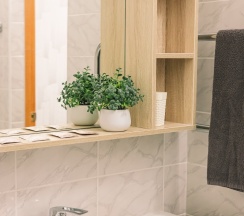 "ЛЮКС" Семейный, 2х-комн. (№10) в Новый континент