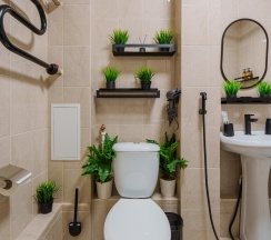 1-комнатные апартаменты студия в Roomtour