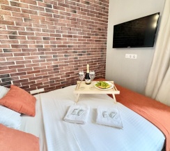 Комфорт Мини Плюс в Metro apartments
