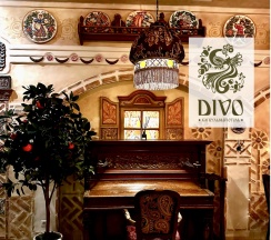Двухместная Капсула Divo Comfort в Диво