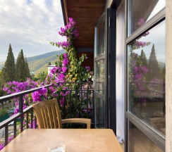 Трёхместный номер Супериор Плюс c 1 комнатой с балконом и с красивым видом из окна в Aimara