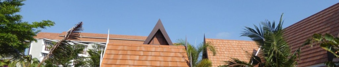 Номер Deluxe в VIP Chain Resort Pool Villa