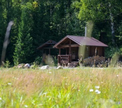 Дом «Медовый» в Лесная сказка