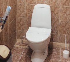 Трехместный Люкс №162 в Марциальные воды