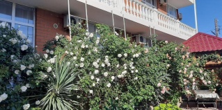 Геленджик: Гостевой дом Гостевой дом