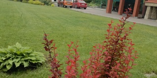 Тула: Мини-отель Гостевой дом